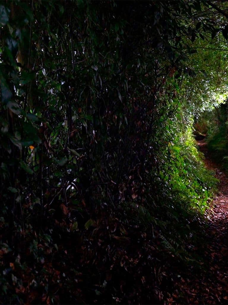Un rastro de luz