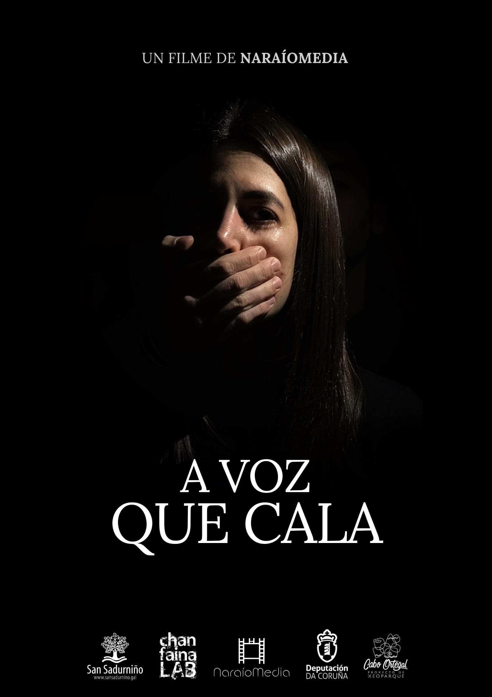 cartaz de a voz que cala