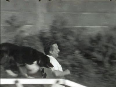 Proba de axilidade 2