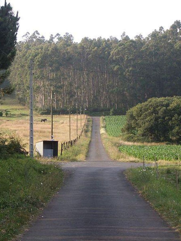  Camiños de Bardaos. (Unha achega ao fenómeno OVNI en San Sadurniño)