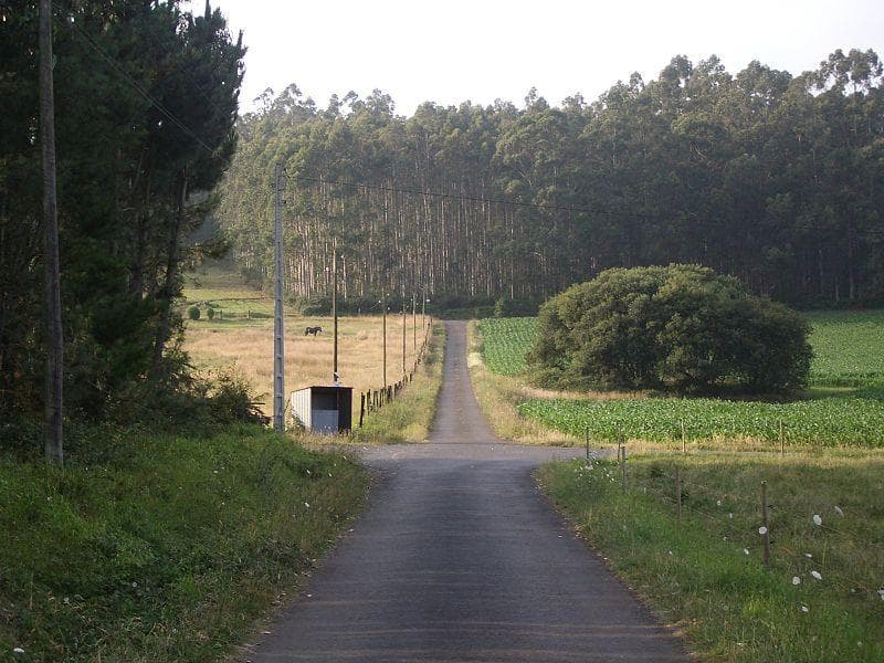 Bardaos.