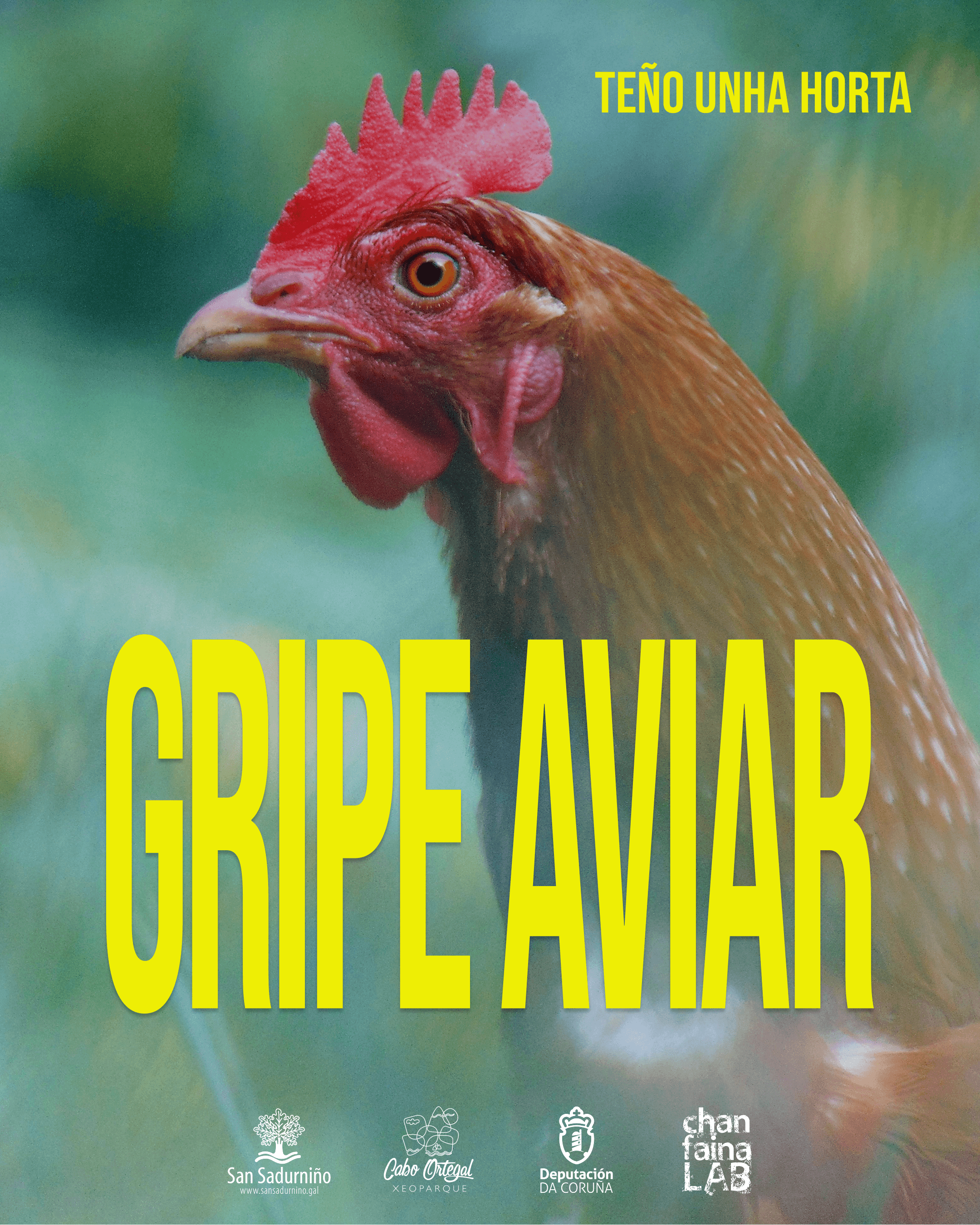Cartel Gripe aviar