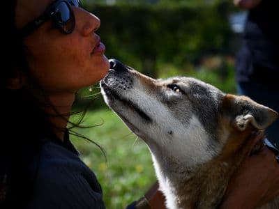 Nadia Acimi con Lobos de Naraío
