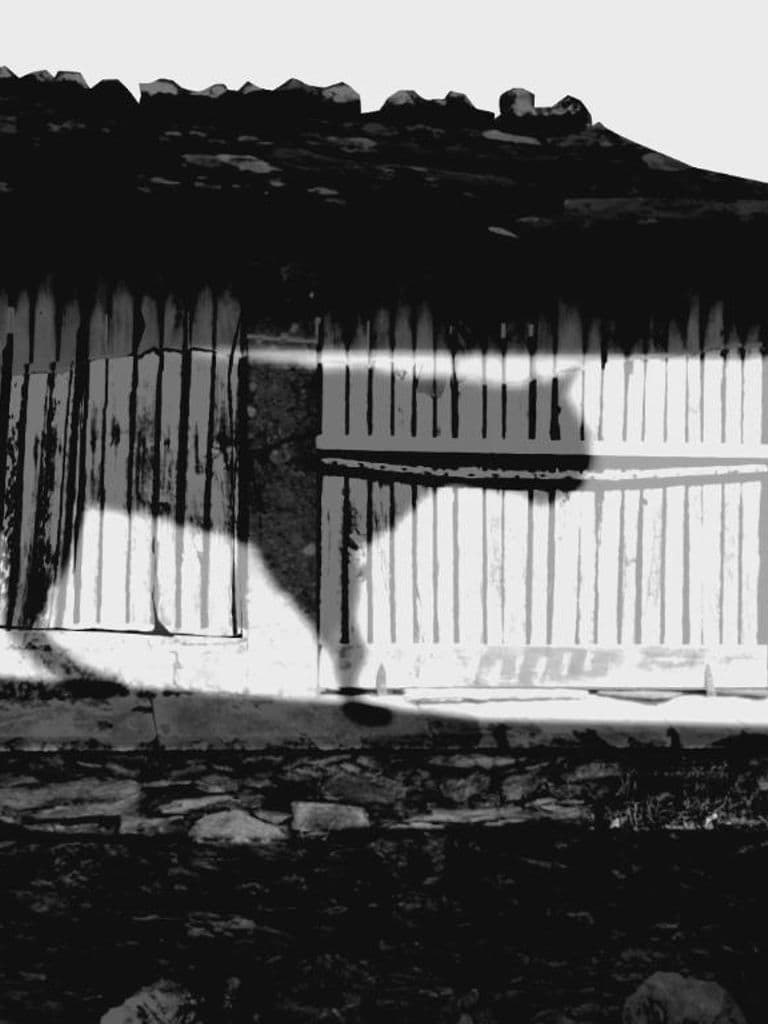 Negra sombra