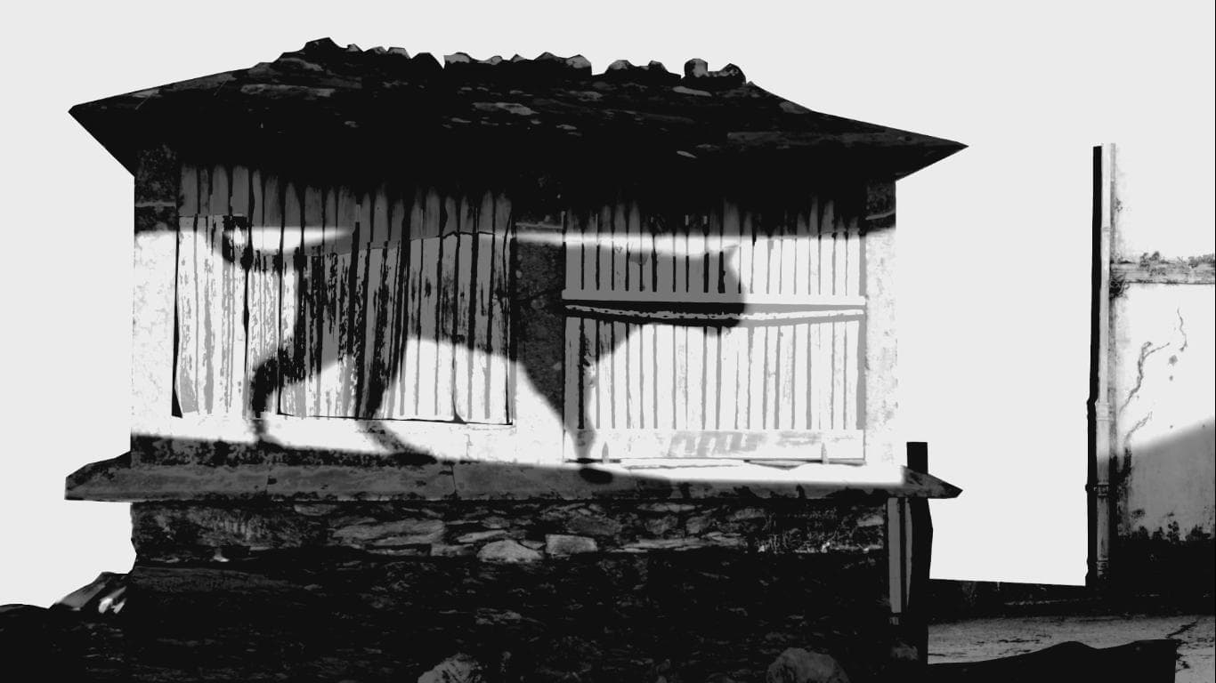 Negra sombra