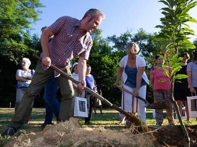 Plantación castiñeiro V Chanfainalab