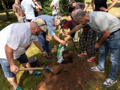 Plantación da árbore conmemorativa