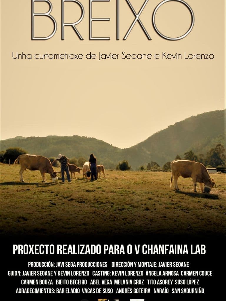 Breixo