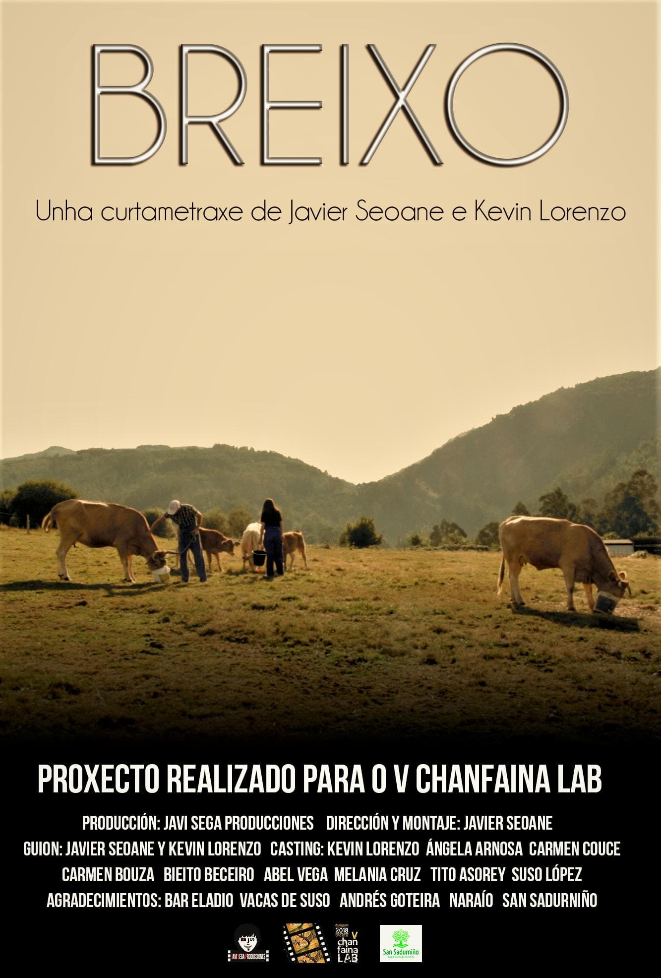 Cartaz de Breixo