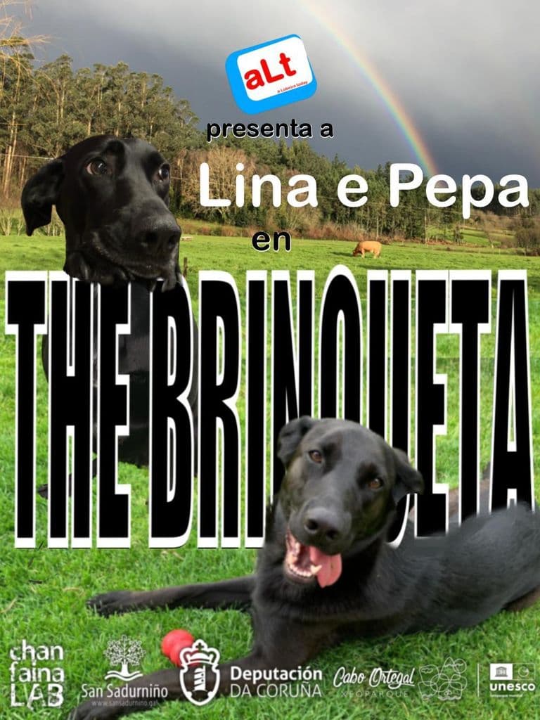 The Brinqueta