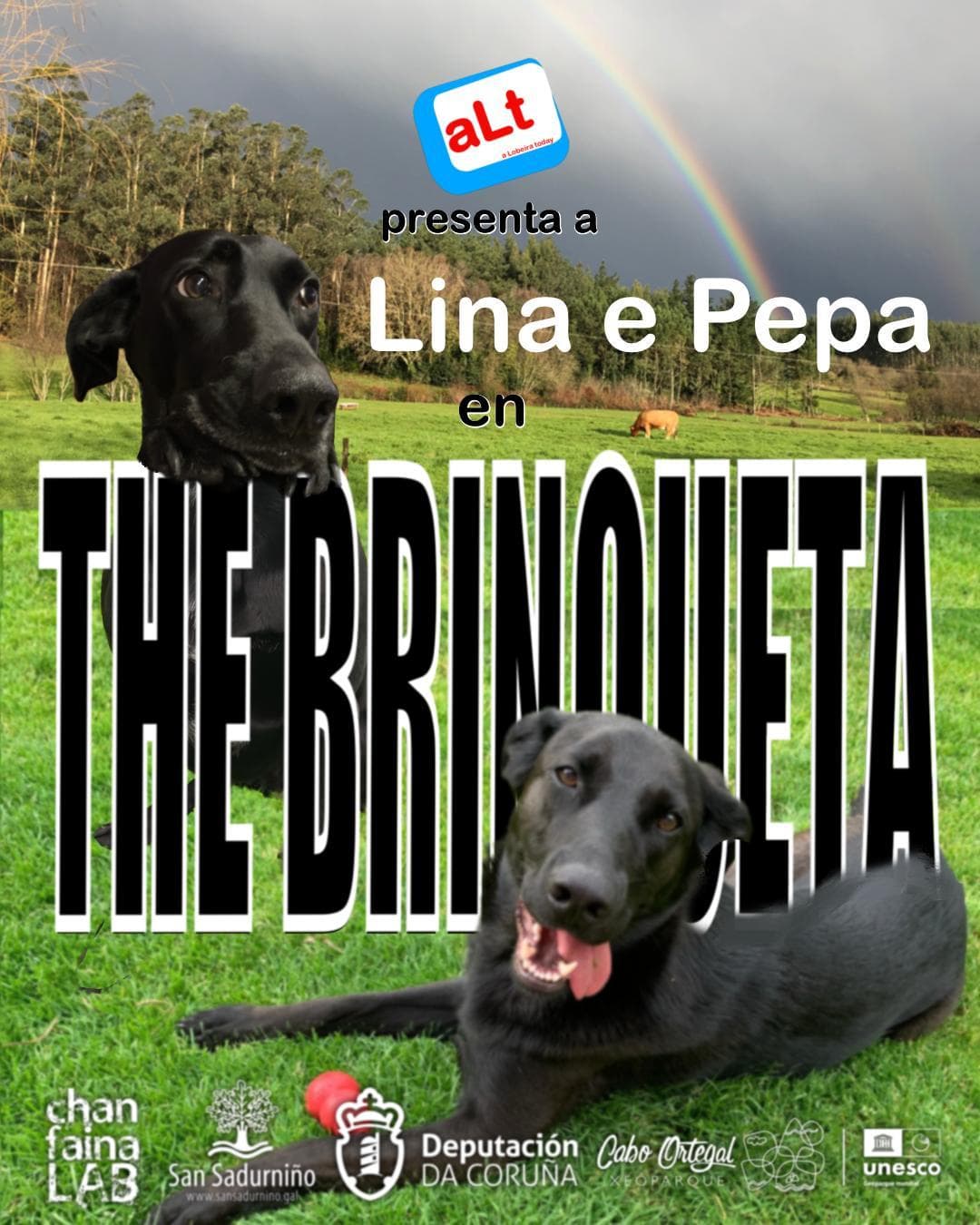 cartaz brinqueta