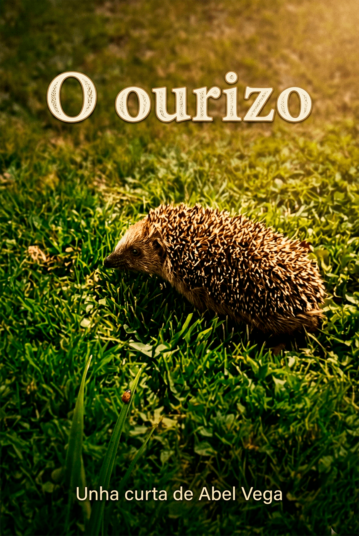 Cartel de O ourizo