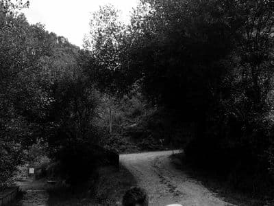 Rodaxe de Amar