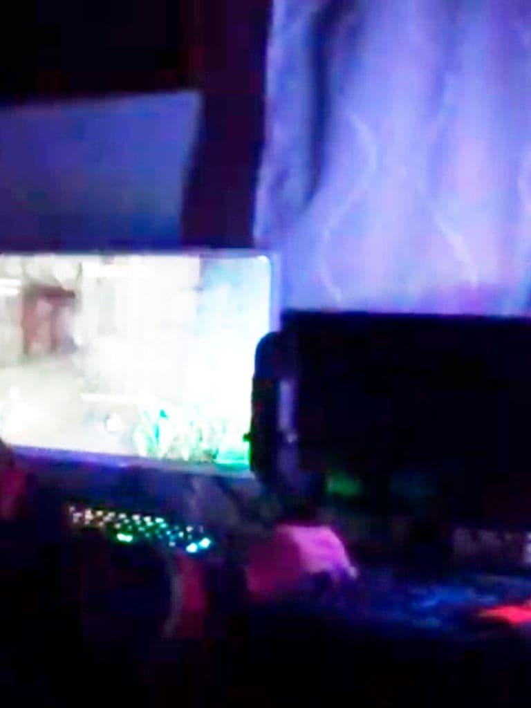 Conectado