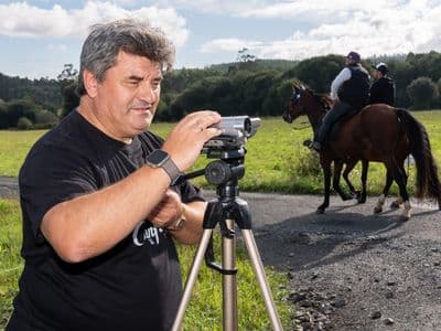 entre cabalos