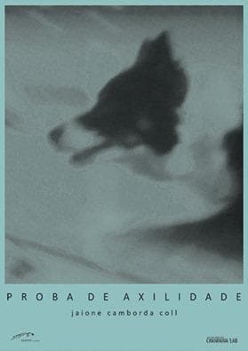 Proba de axilidade