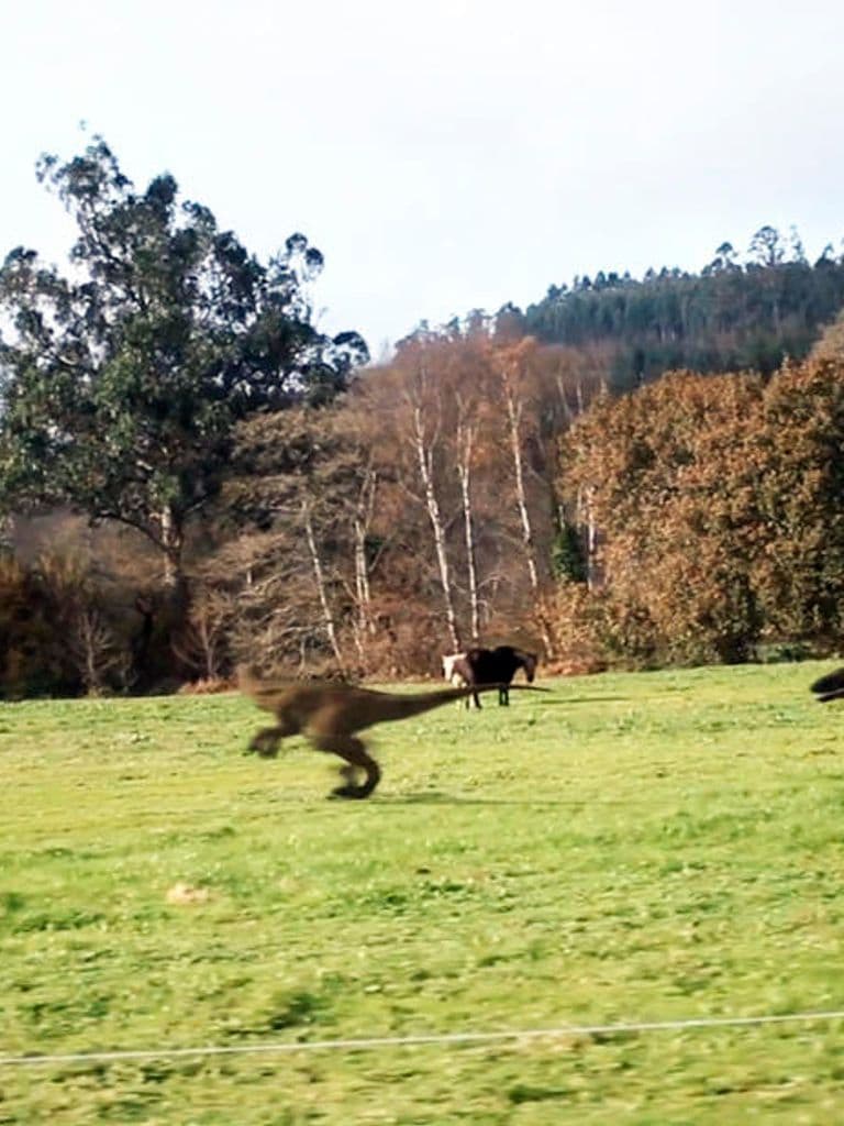 Monte Xurásico