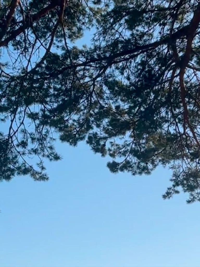 7+1