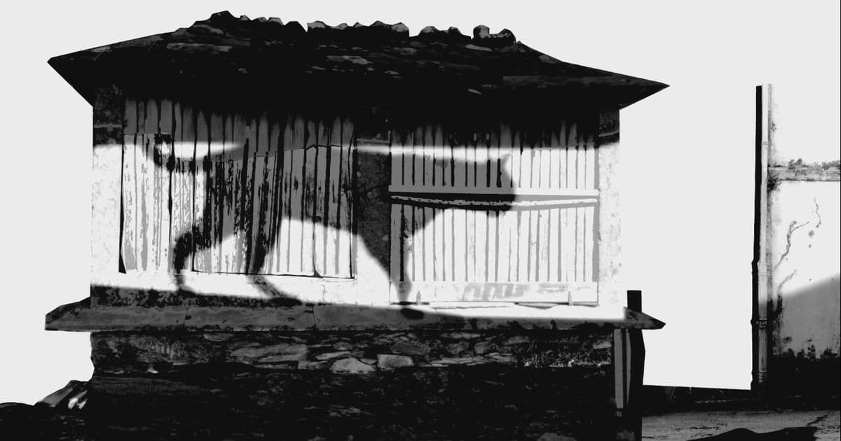 Negra sombra