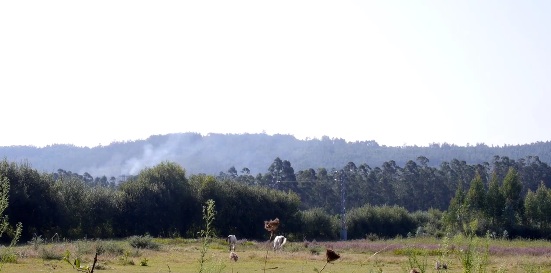 Auga branca Santa Mariña